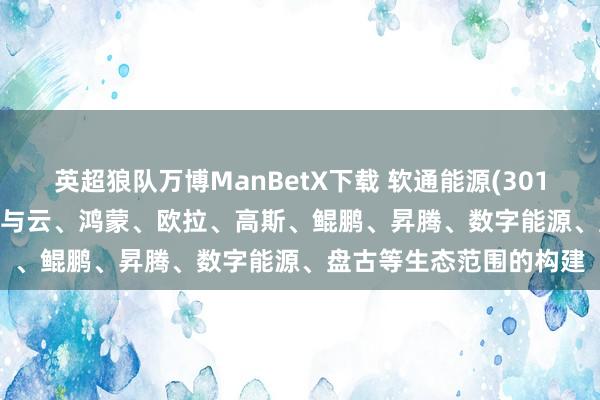 英超狼队万博ManBetX下载 软通能源(301236.SZ)：公司长远参与云、鸿蒙、欧拉、高斯、鲲鹏、昇腾、数字能源、盘古等生态范围的构建