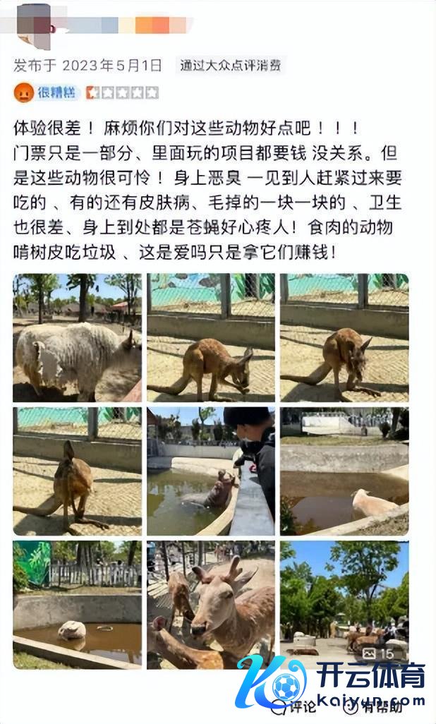 阜阳当地东谈主评动物园20只东北虎物化 园方被指无证繁衍ManBetX官网在线登录，操办芜乱