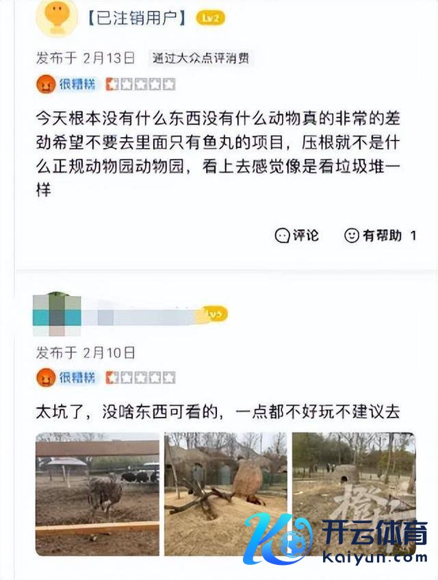 阜阳当地东谈主评动物园20只东北虎物化 园方被指无证繁衍，操办芜乱