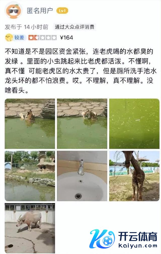 阜阳当地东谈主评动物园20只东北虎物化 园方被指无证繁衍，操办芜乱