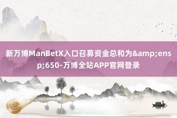 新万博ManBetX入口召募资金总和为&ensp;650-万博全站APP官网登录